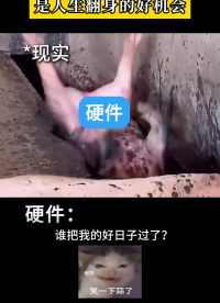 硬件：實則是掉進了翻不了身的“坑”
#硬件 #電子 #硬件工程師 #電子愛好者 