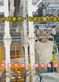 石灰噸袋自動(dòng)包裝機(jī) 無(wú)塵定量自動(dòng)包裝秤結(jié)構(gòu)
