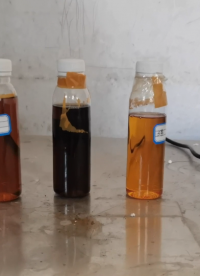 油品量熱儀化驗醇基燃料油發(fā)熱量方法步驟#熱值儀 #量熱儀 #煤炭化驗設(shè)備 #發(fā)熱量測定儀 #興鶴儀器 