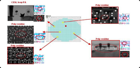 b028359a-a81c-11f0-8c8f-92fbcf53809c.png
