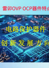 9雷卯OVP OCP器件特点介绍