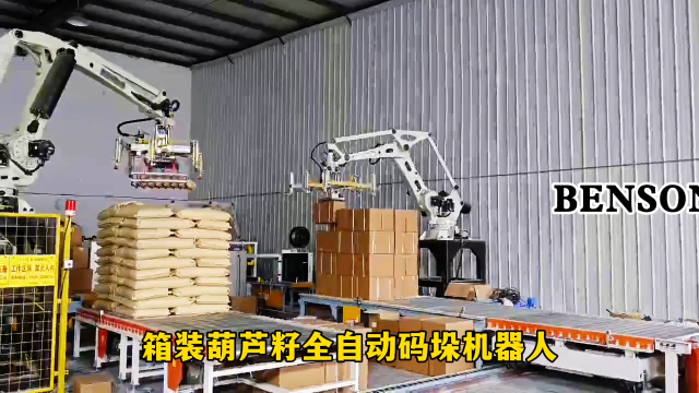 山东本森智能装备 码垛机工厂 箱装葫芦籽全自动码垛机器人#码垛机器人
 