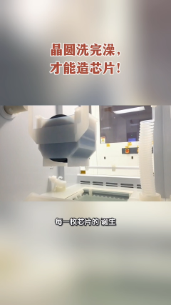 晶圓洗完澡，才能造芯片！#半導體# 晶圓# 芯片
