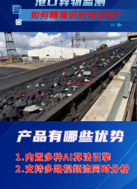 拆解港口AI“黑盒”：看邊緣計(jì)算如何實(shí)現(xiàn)毫秒級(jí)未知異物識(shí)別#人工智能 #AI #AI異物檢測(cè)# 智慧港口

