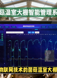 連棟菌菇棚難管理？智能系統(tǒng)：LoRa穿透棚膜傳數(shù)據(jù)，多區(qū)同步控溫濕 #農(nóng)業(yè)物聯(lián)網(wǎng) #plc #物聯(lián)網(wǎng) 