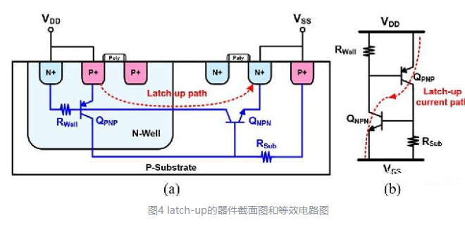 1c741b9c-ab42-11f0-8c8f-92fbcf53809c.png