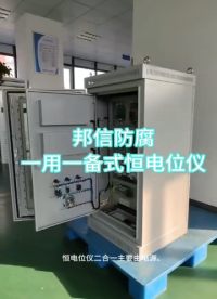 定頻組合式恒電位儀 50V/30A一用一備恒電位儀高硅鑄鐵陽極防爆箱