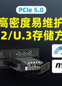 Gen5 U.2新紀(jì)元！這款5.25英寸硬盤盒為何是AI/HPC的終極解決方案？#PCIe5 #U2硬盤盒 