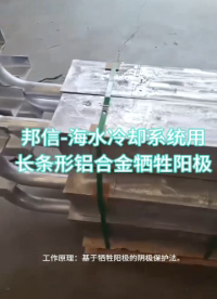 海水冷卻系統(tǒng)用鋁合金犧牲陽(yáng)極 500*（105+135）*100mm AE-6# 