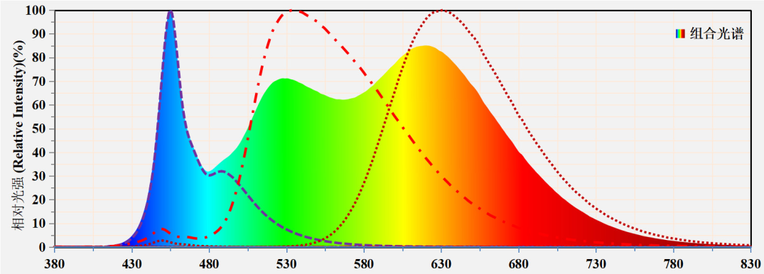 a790d7f2-b2d0-11f0-8c8f-92fbcf53809c.png