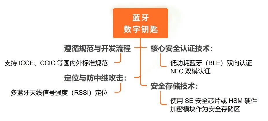 adf4c236-aff9-11f0-8c8f-92fbcf53809c.jpg