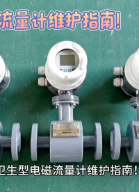 衛(wèi)生型電磁流量計維護指南！