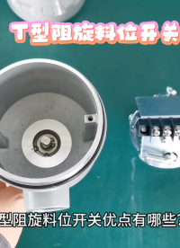 T型阻旋料位開關優(yōu)點有哪些？