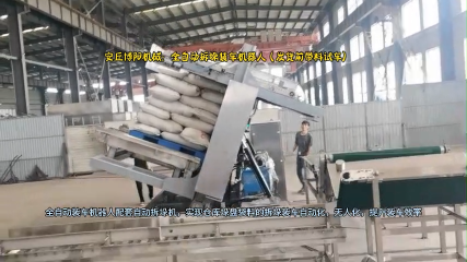 尿素雙機(jī)器人自動(dòng)裝車機(jī)   全自動(dòng)拆垛裝車機(jī)械手廠家# 全自動(dòng)裝車機(jī)器人供應(yīng)