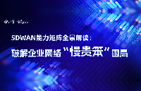 SDWAN能力矩陣全景解讀：破解企業(yè)網(wǎng)絡(luò)“慢貴笨”困局的戰(zhàn)略指南