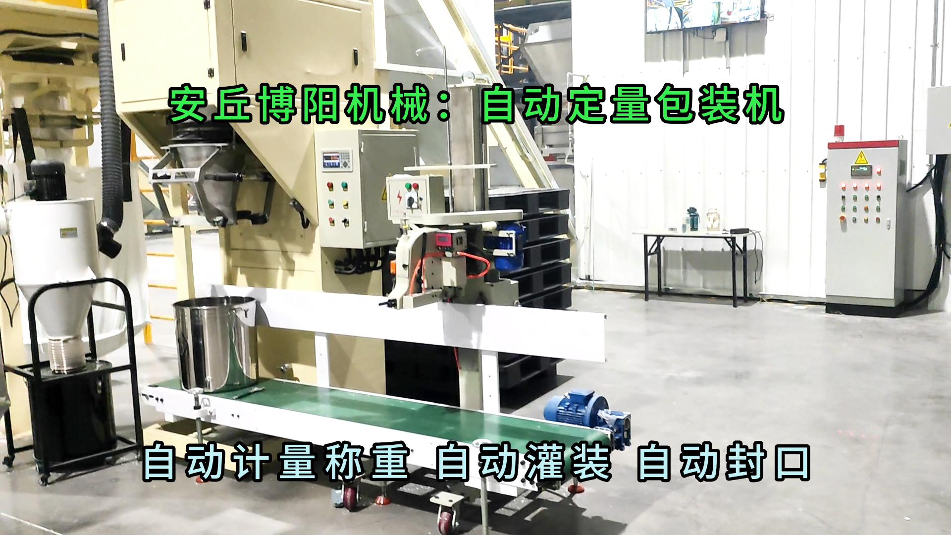 無機(jī)鹽自動(dòng)包裝設(shè)備 鹽粉自動(dòng)定量包裝機(jī)廠家