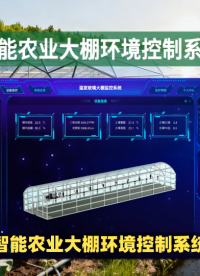 #农业物联网 从“看天吃饭”到“知天而作”，智能大棚环境系统让种植更高效