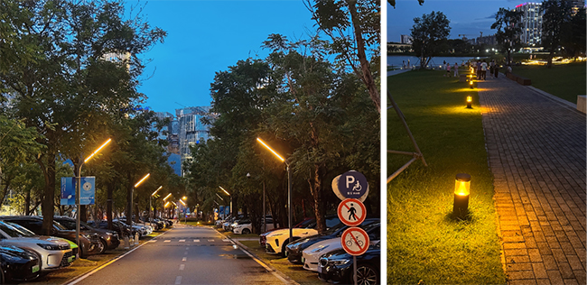 深圳人才公园.jpg
