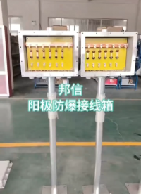 陰極保護(hù)管道電位測(cè)試樁防爆接線(xiàn)箱 接地電阻監(jiān)測(cè)儀# 