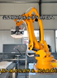 塑料粒子全自動(dòng)拆包機(jī)器人 機(jī)械手自動(dòng)拆垛拆包成套系統(tǒng)# 全自動(dòng)拆包機(jī)#機(jī)械手拆包機(jī) 