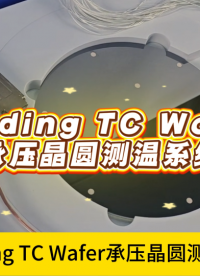 瑞樂半導(dǎo)體——Bonding TC Wafer承壓晶圓測溫系統(tǒng)#晶圓測溫 #晶圓測試 #晶圓檢測 