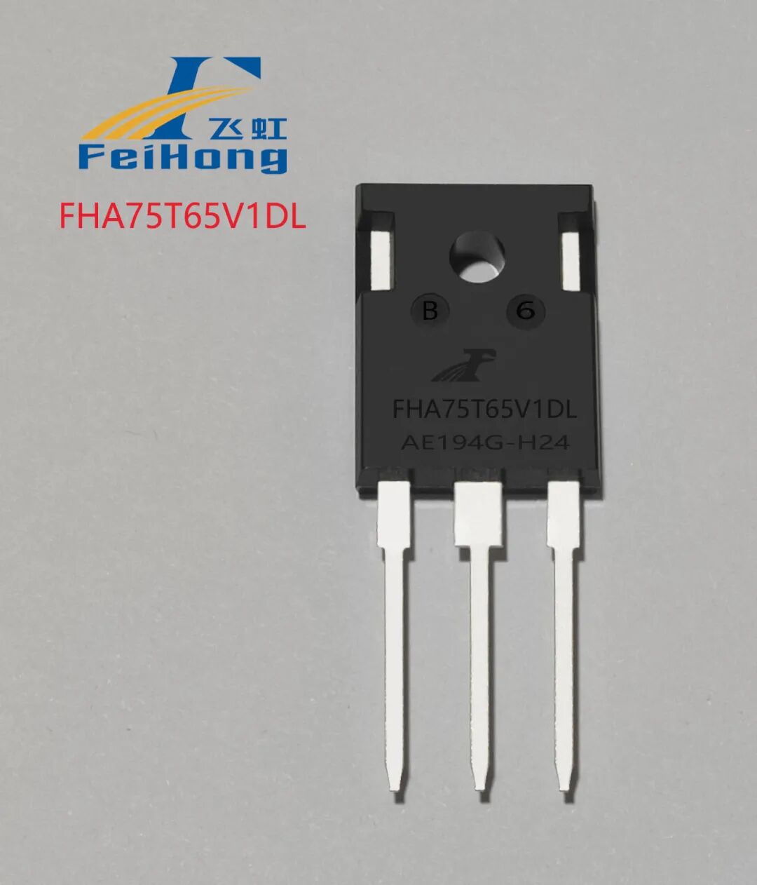 e95cef98-c425-11f0-8c8f-92fbcf53809c.jpg