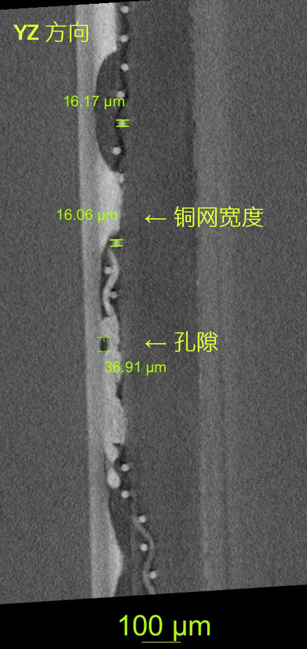 蔡司