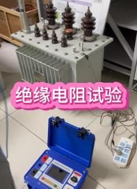 變壓器絕緣電阻試驗(yàn)現(xiàn)場 #儀器儀表 #五金工具 #兆歐表 