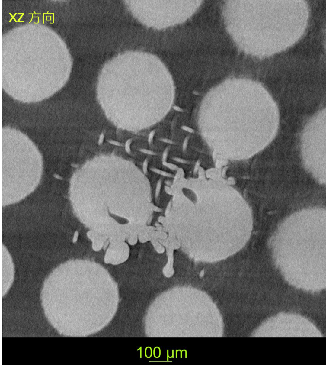 蔡司