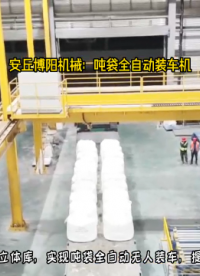 硫酸鎂全自動(dòng)噸袋裝車機(jī) 噸袋自動(dòng)裝車系統(tǒng)用戶現(xiàn)場(chǎng)