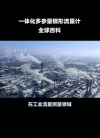 一体化多参量楔形流量计-全球百科#农业物联网 #手套箱 #专科生 #plc教学 #警车灯电路 #溶氧仪校准 