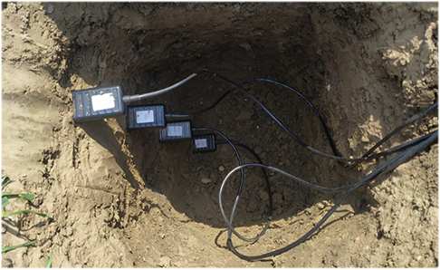 技術(shù)賦能<b class='flag-5'>農(nóng)業(yè)</b>：有人物<b class='flag-5'>聯(lián)網(wǎng)</b>“<b class='flag-5'>農(nóng)業(yè)</b>四情監(jiān)控<b class='flag-5'>方案</b>”破解精準<b class='flag-5'>種植</b>難題