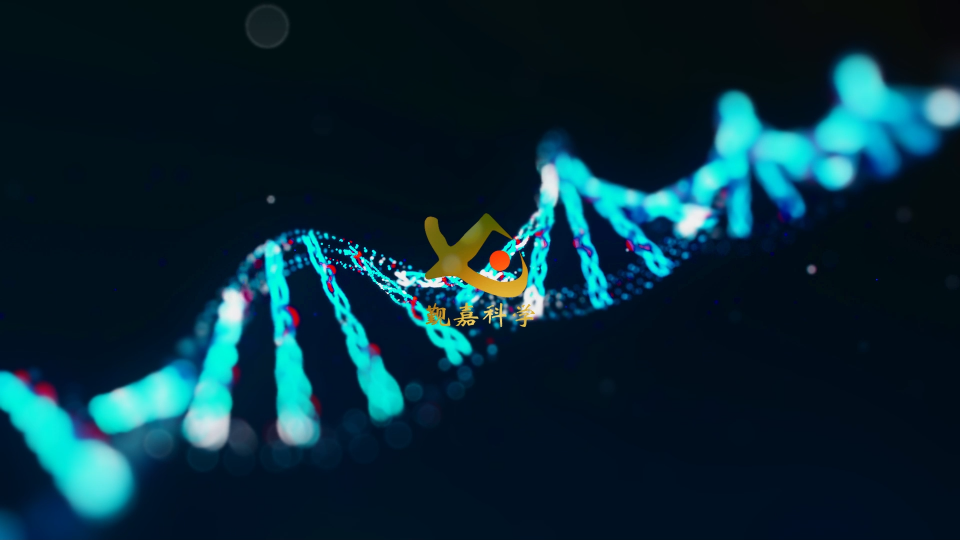 覲嘉-客戶到訪評(píng)審方案-使用說(shuō)明