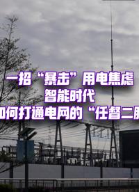 啥？電力也會(huì)“讀心術(shù)”！龐大的電網(wǎng)系統(tǒng)，究竟如何“秒懂”我們的用電需求？