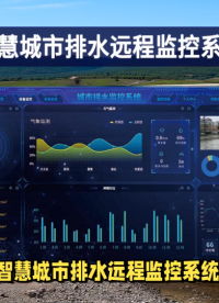 智慧排水系统用科技守护水安全，打造智能高效管理新模式！#plc #物联网 