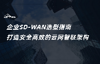 企业SD-WAN选型指南：打造安全、体验至上的云网智联架构