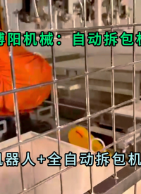 25kg碳酸鉀自動(dòng)拆垛拆包機(jī) 無塵粉體自動(dòng)拆包機(jī)器人廠家