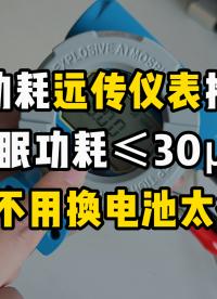 低功耗远传仪表推荐！休眠功耗≤30μA，6 年不用换电池太省心