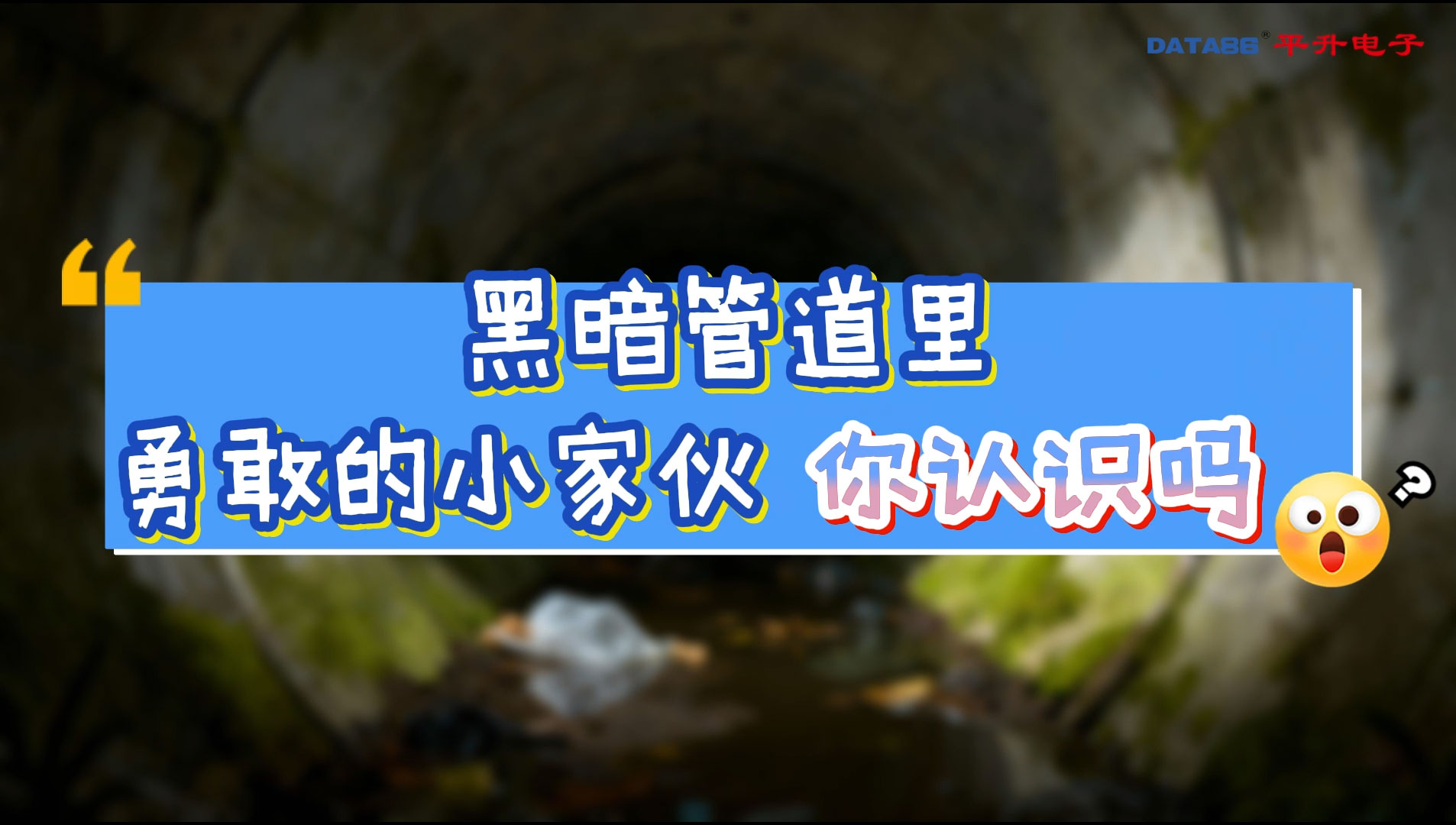 黑暗管道里的勇敢小家伙，你认识吗？ #雷达超声流量计 #雨污水排水管网测流 #排水管网流量计设备 #动画短片 