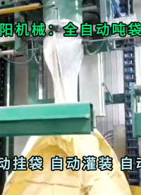 堿粉全自動(dòng)噸袋包裝機(jī) 純堿全自動(dòng)噸包包裝設(shè)備