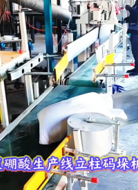 山东本森智能装备 袋装硼酸生产线立柱码垛机器人#码垛机器人
 