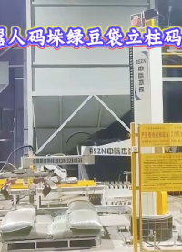 山东本森智能装备 机器人码垛绿豆立柱码垛机#码垛机器人
 
