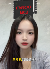 单片机到底是啥？大白话拆解，看完秒懂！#单片机#MCU#微控制器#用单片机找英锐恩 