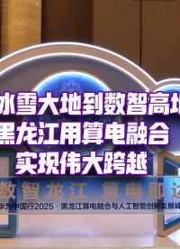從冰雪大地到數(shù)智高地，黑龍江用算電融合實現(xiàn)偉大跨越