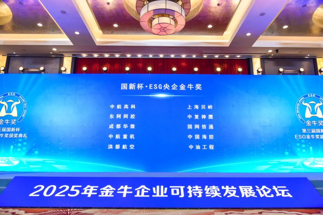 b764e2e0-d0e4-11f0-8c8f-92fbcf53809c.jpg