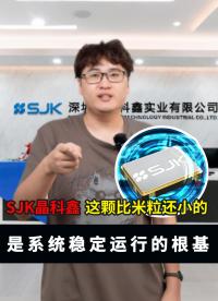 這顆比米粒還小的東西就是系統(tǒng)穩(wěn)定運(yùn)行的根基 #電路原理 #plc 