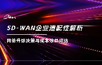 <b class='flag-5'>SD-WAN</b>企业适配性解析：网络升级决策与成本效益评估
