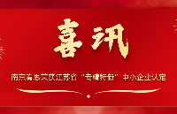 南京峟思荣获江苏省“<b class='flag-5'>专精</b><b class='flag-5'>特</b>新”<b class='flag-5'>中小企业</b>认定