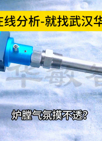 在線氧含量不準(zhǔn)？華敏氧化鋯分析儀直接來(lái)測(cè)量！#plc教學(xué) #?？粕?#警車燈電路 #眼圖 #農(nóng)業(yè)物聯(lián)網(wǎng) 