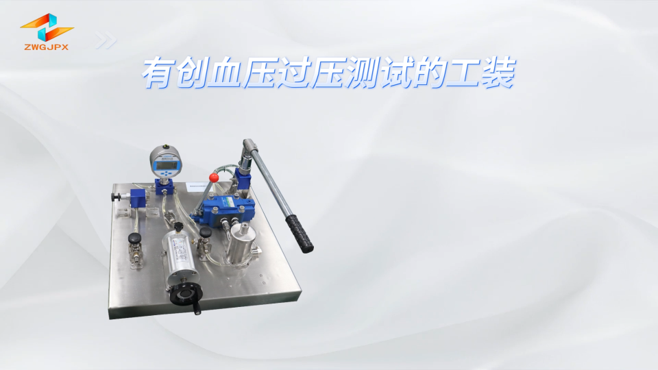誠衛(wèi) CW-X20 有創(chuàng)血壓過壓測試的工裝 YY 9706.234 質(zhì)量保證